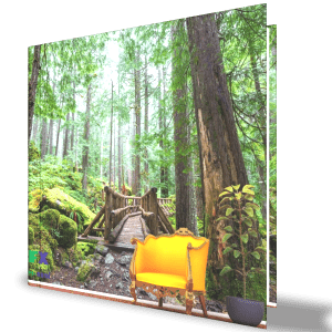 Orman Ağaç Posterleri